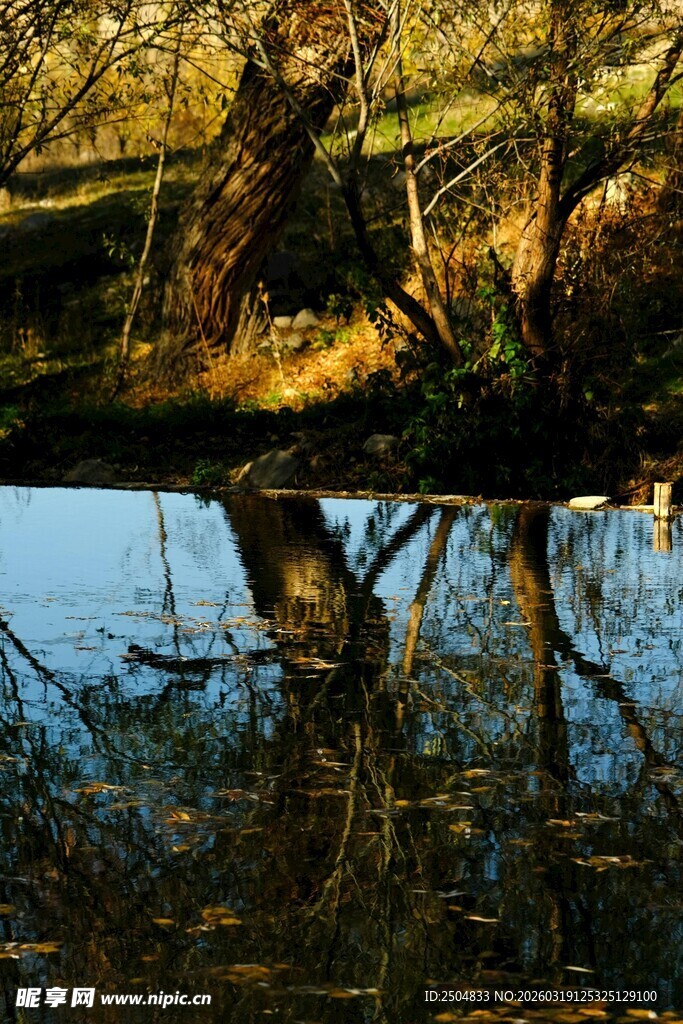 林间静湖倒影之美