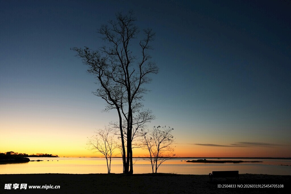 黄昏湖畔孤树美景