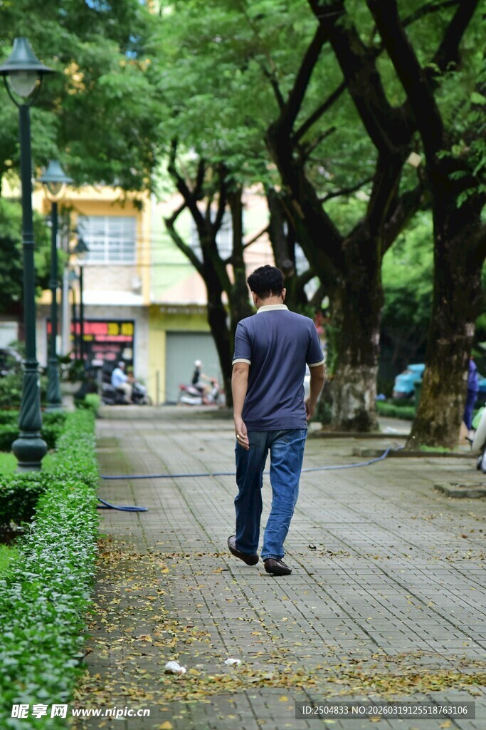 漫步林荫道的男子