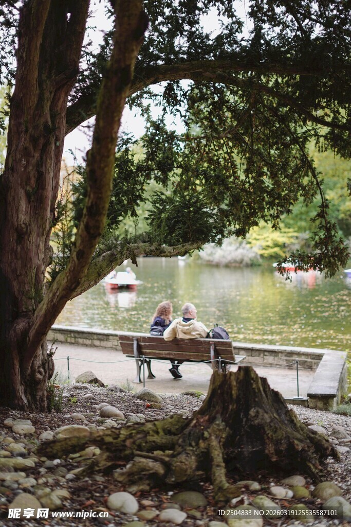 湖畔树下静谧休闲场景