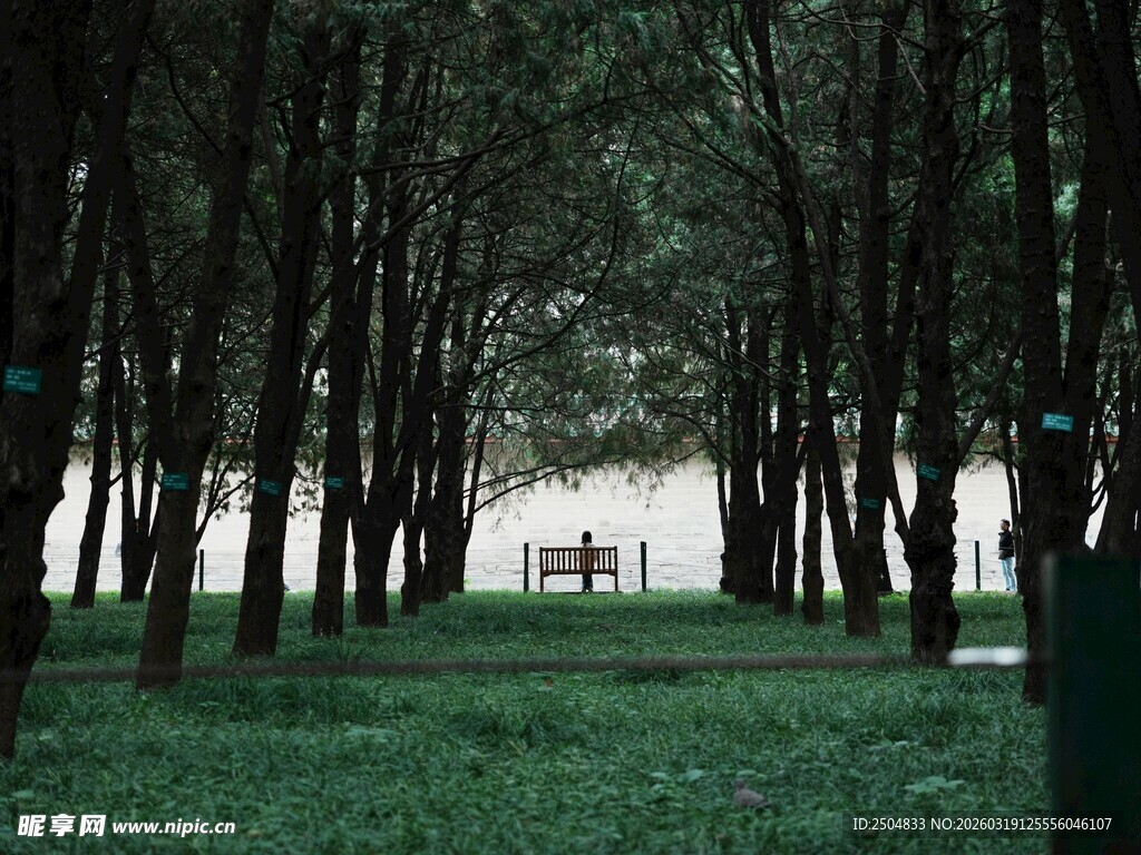 林间静谧草地与远处建筑