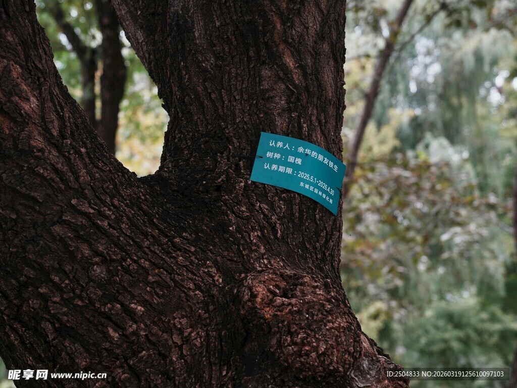 树干上的蓝色标识牌
