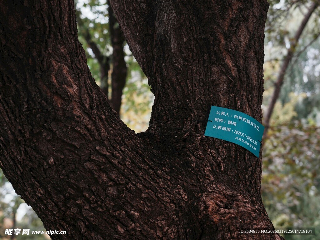 树干上的蓝色标识牌