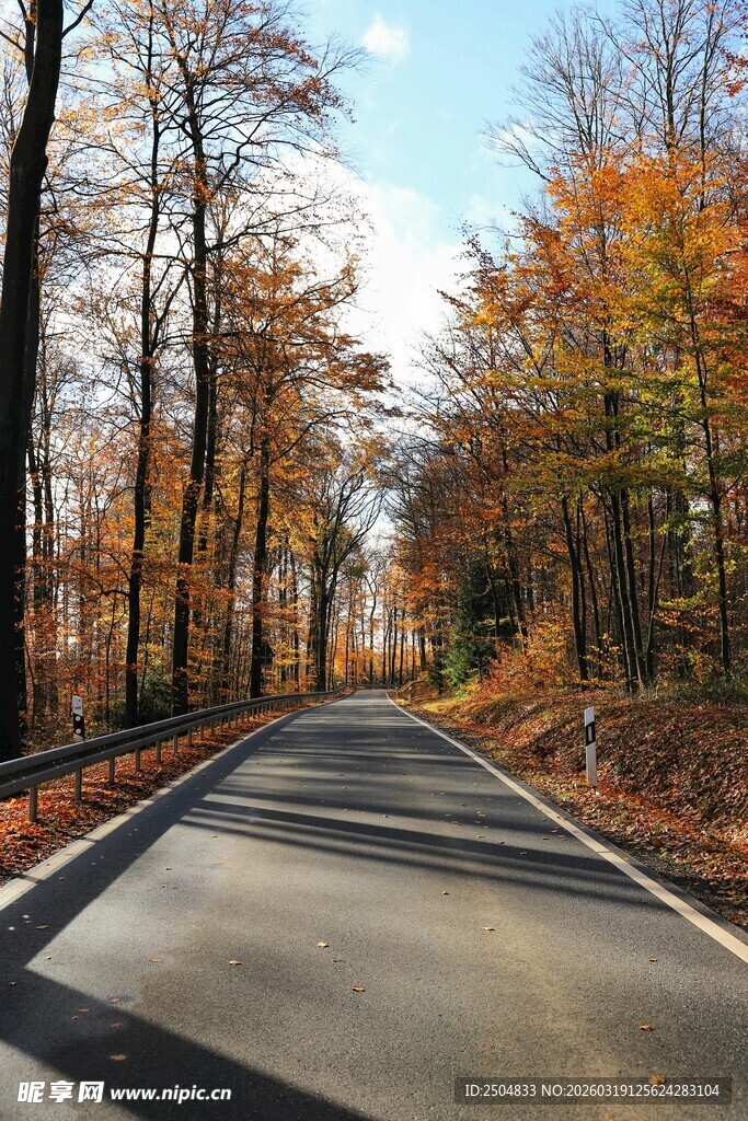 秋日林间公路美景