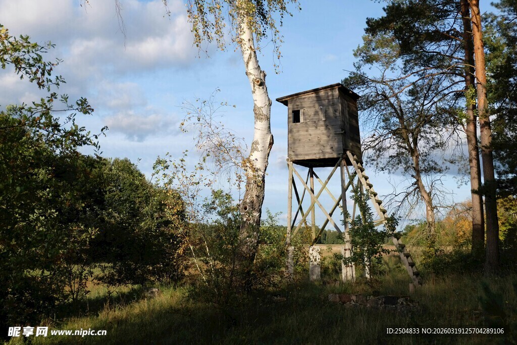 森林中的瞭望塔