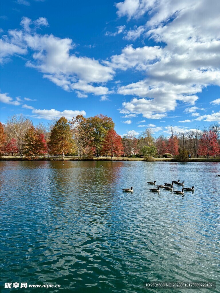 秋日湖畔美景