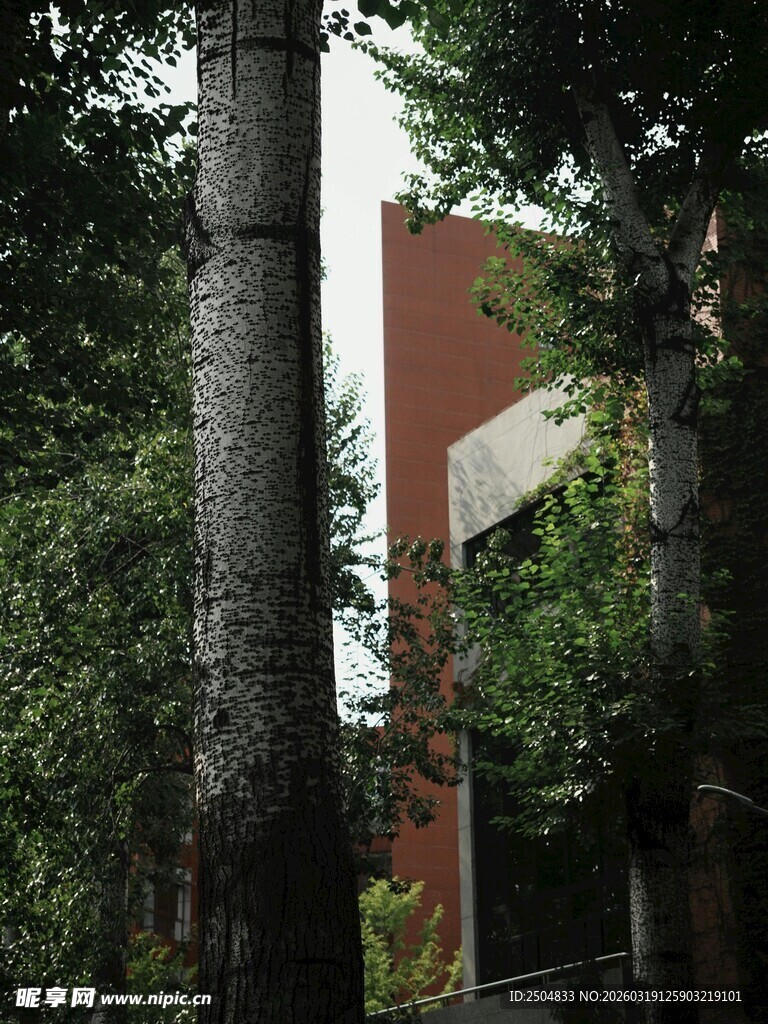 树木环绕的红砖建筑