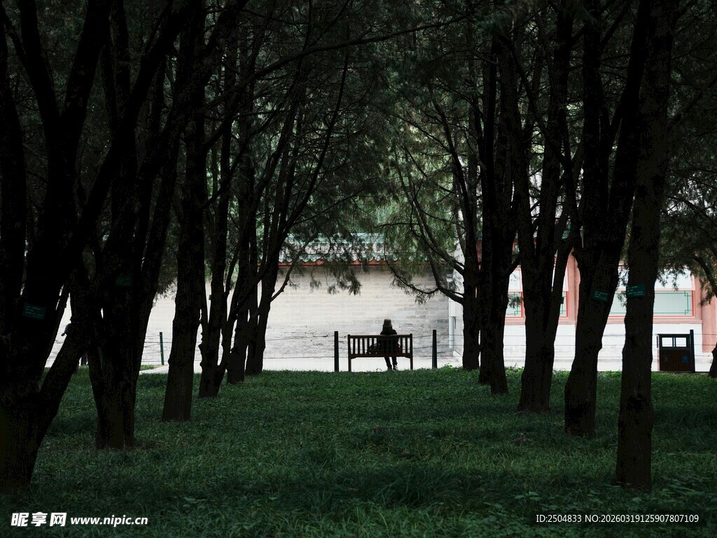 林间静谧长椅 绿意环绕