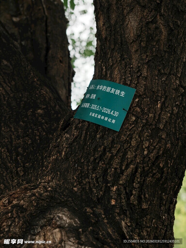 树上的绿色植物标识牌