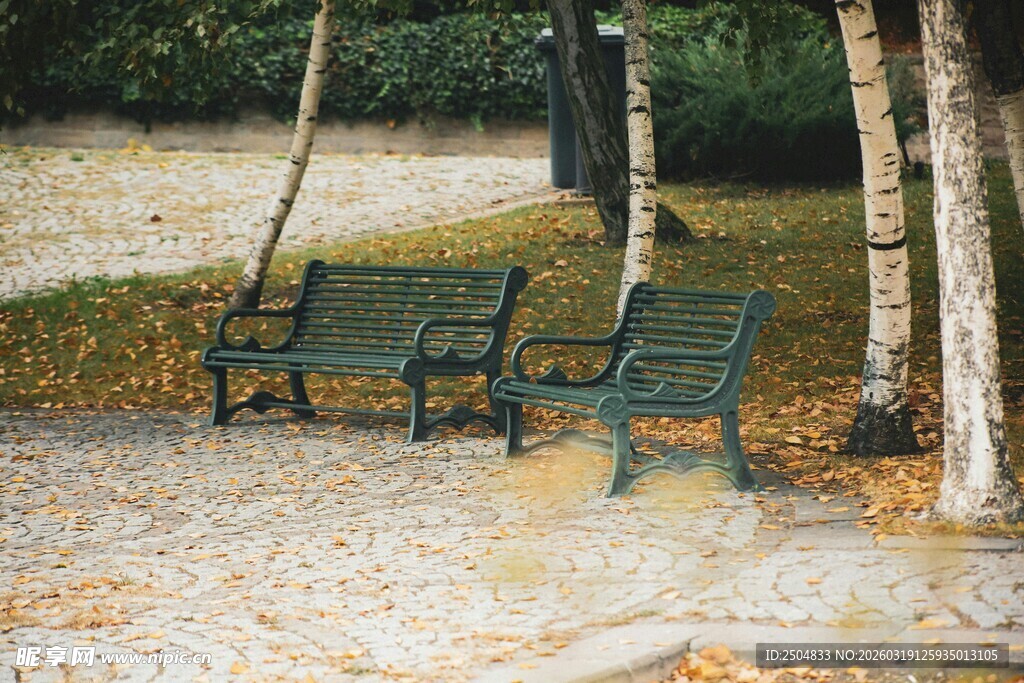 公园中的绿色长椅与秋千