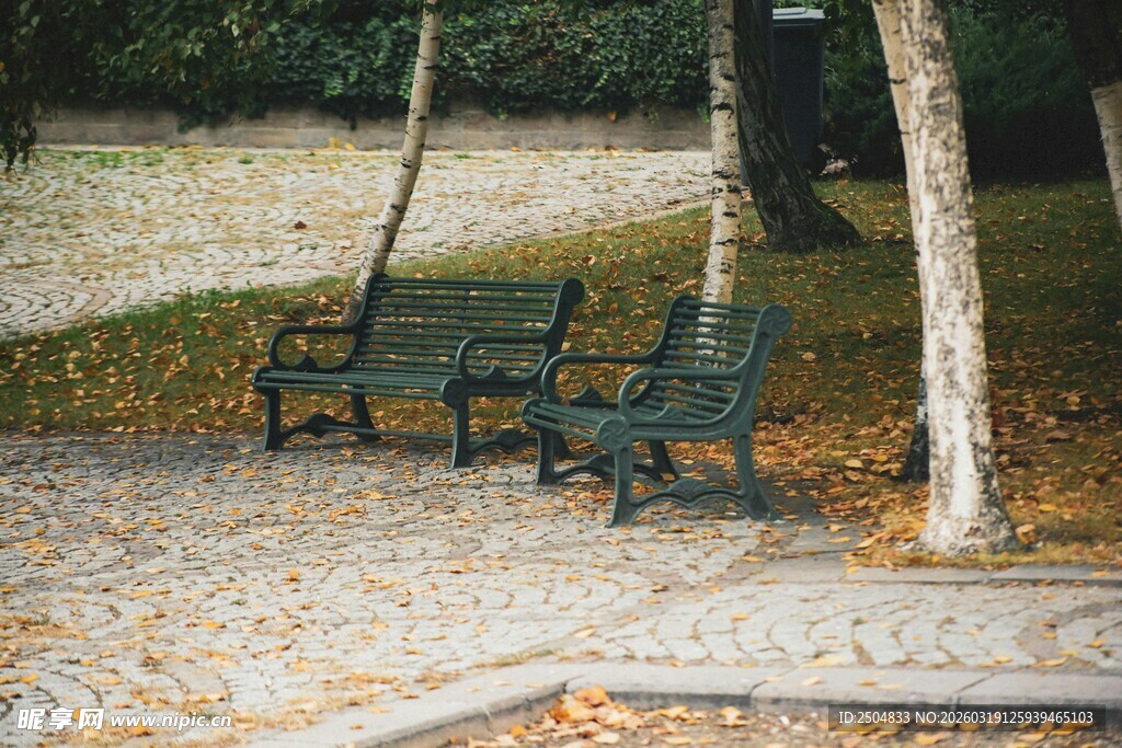 秋日公园长椅静谧景象