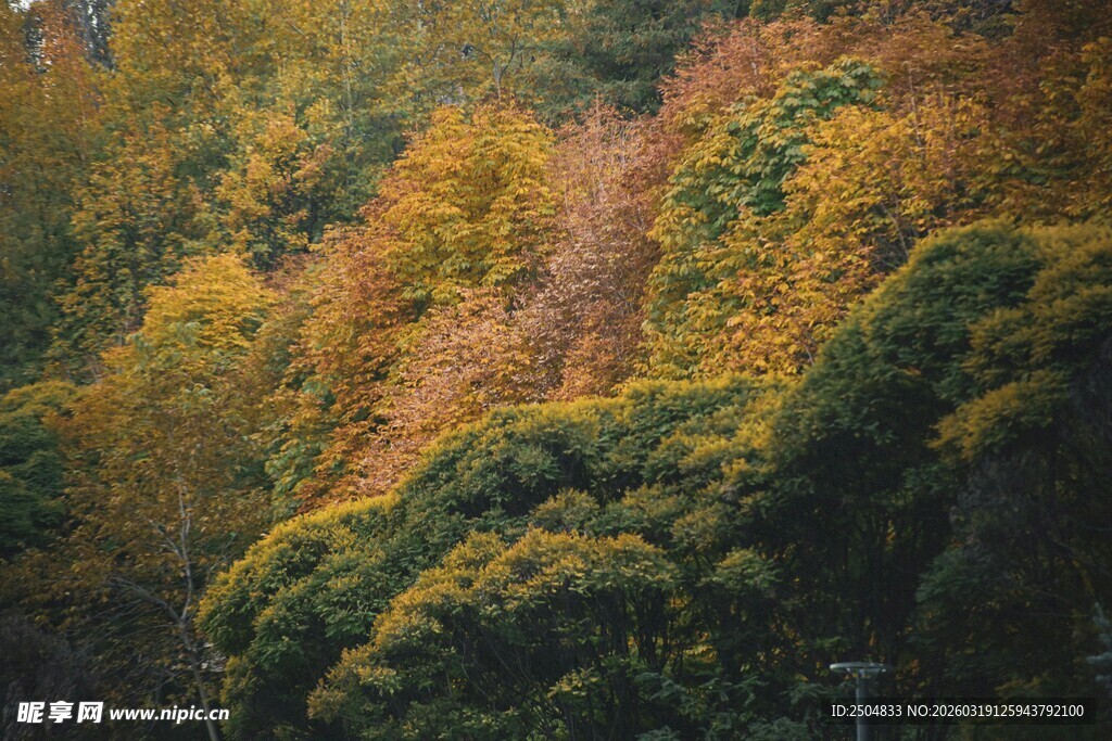 秋日山林斑斓美景