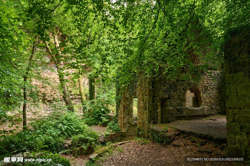 森林中的隐秘古老建筑