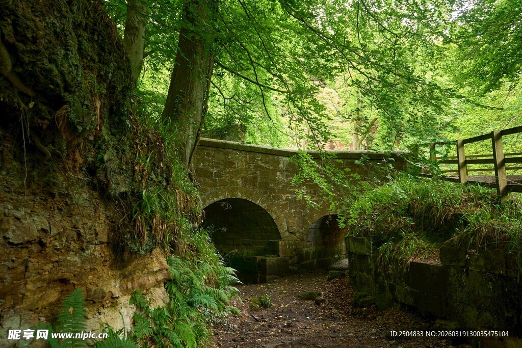 林间石桥 绿意盎然的景致