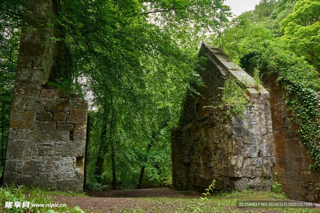 古老废墟隐于葱郁树林中
