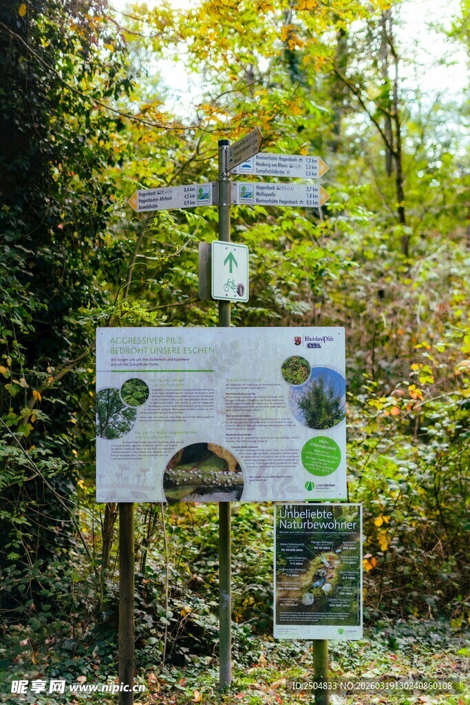 森林中的环保信息展示牌