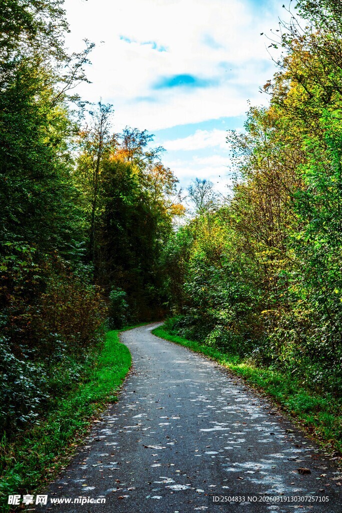林间蜿蜒小路 自然景致