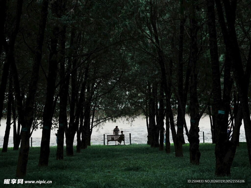 林间静谧处 悠然赏景人