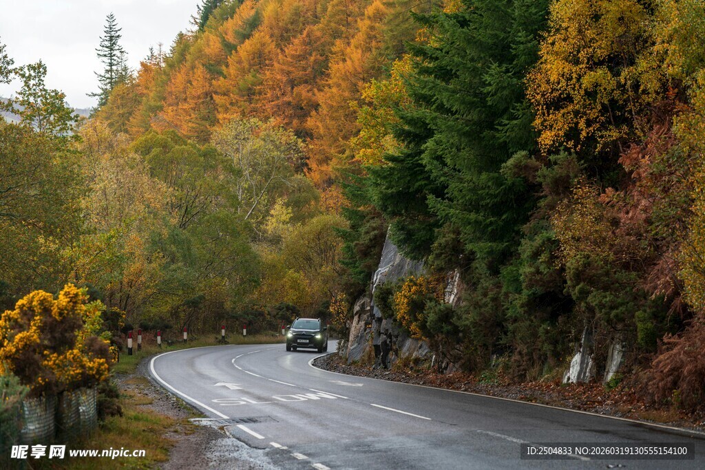 秋日蜿蜒公路的美丽景致