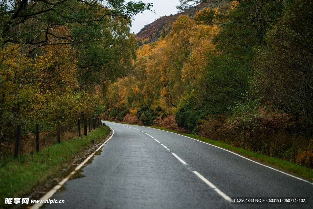 蜿蜒秋景公路