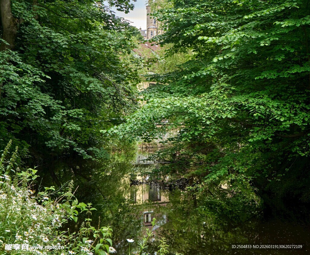 林间清幽小溪景观