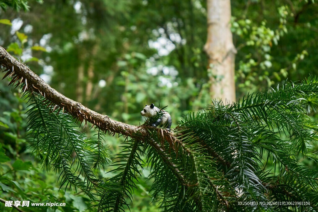 枝头小鸟栖于葱郁林间