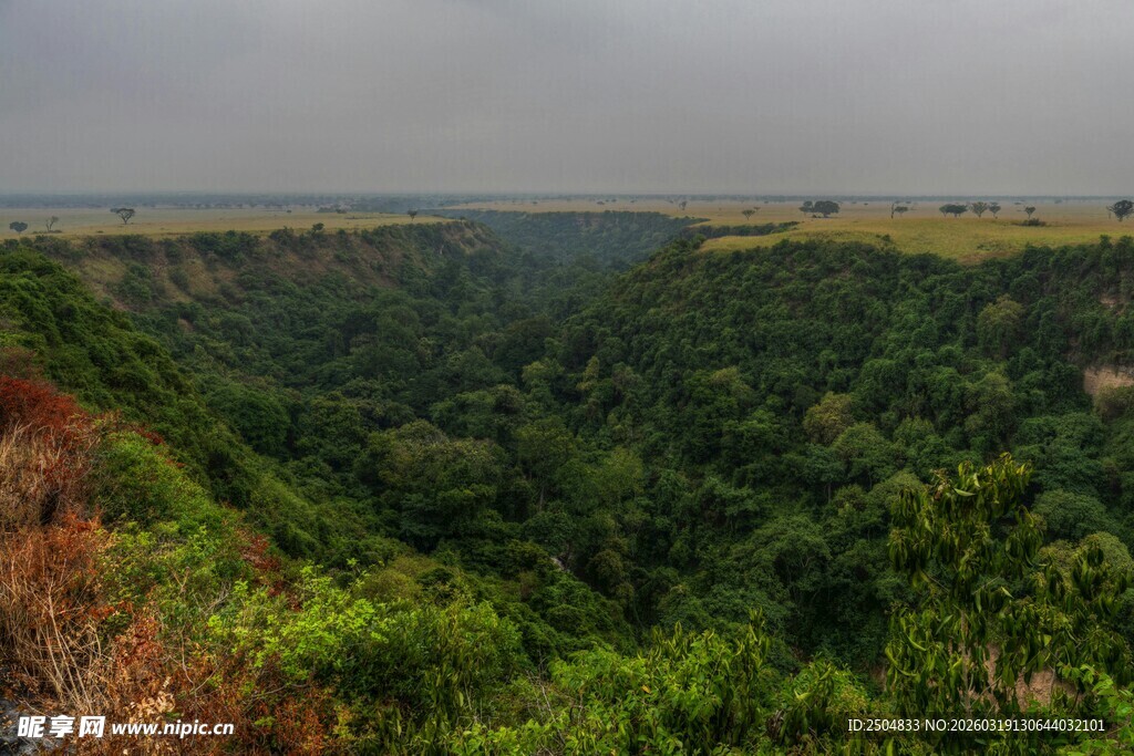 俯瞰葱郁山谷景观