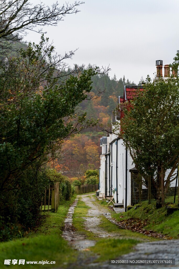 乡村小径旁的白色小屋