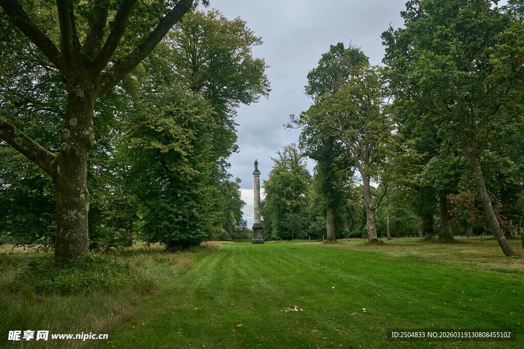 林间绿草地 自然好风光