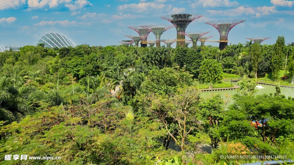 新加坡滨海湾花园景观