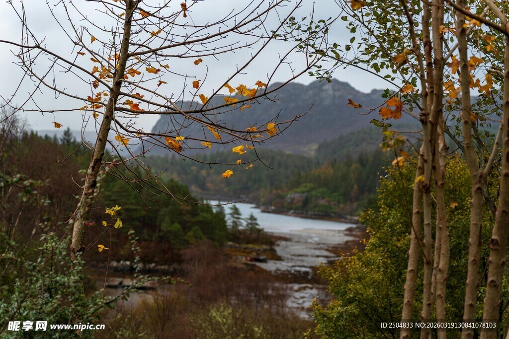 秋日山林间的蜿蜒河流