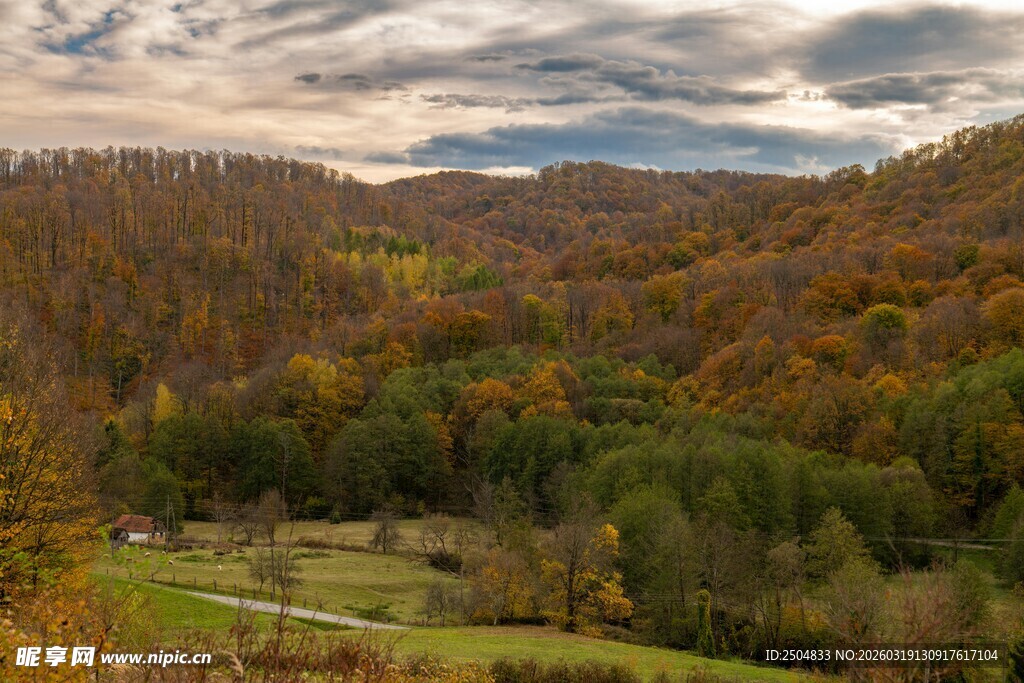 秋日山谷绚丽风光