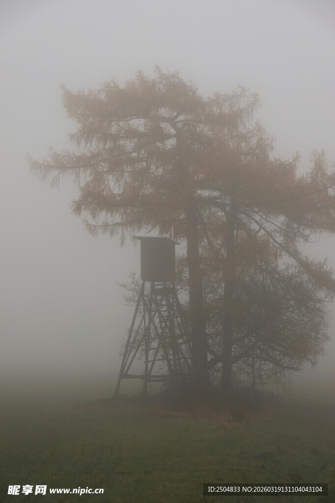 雾中孤树与瞭望塔