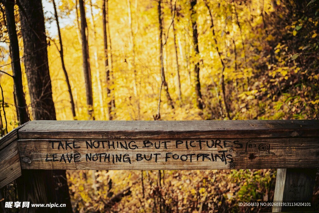 秋日林间木牌指示路景