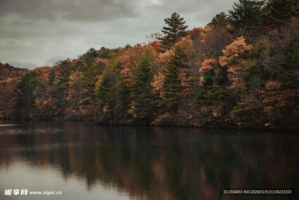 秋日湖畔斑斓树林美景
