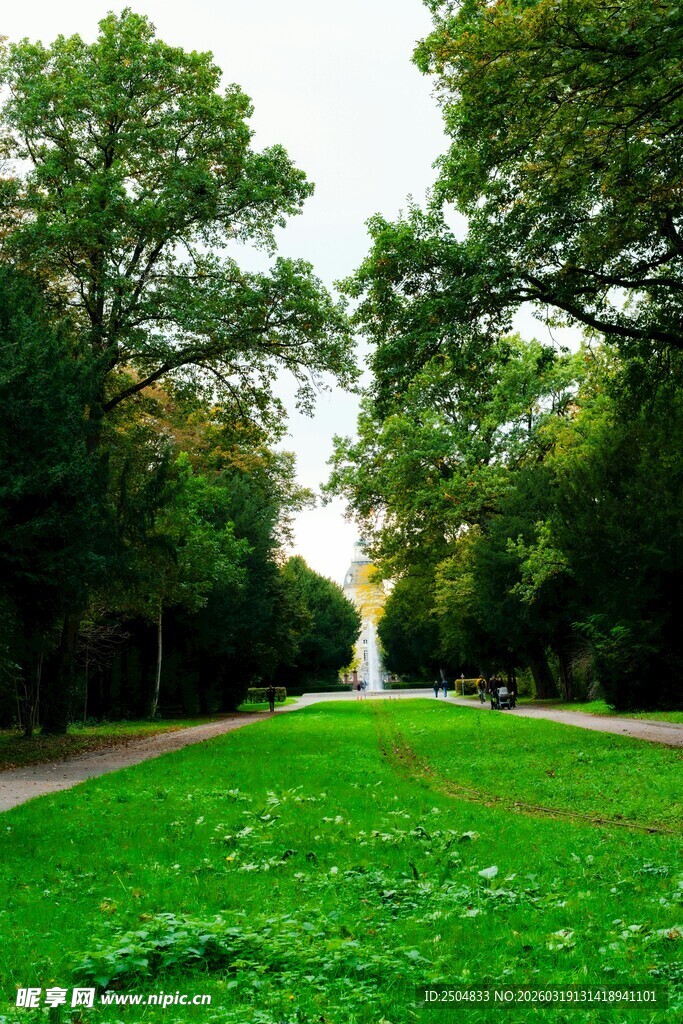 绿意盎然的公园景观