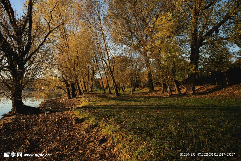 秋日河畔树林美景