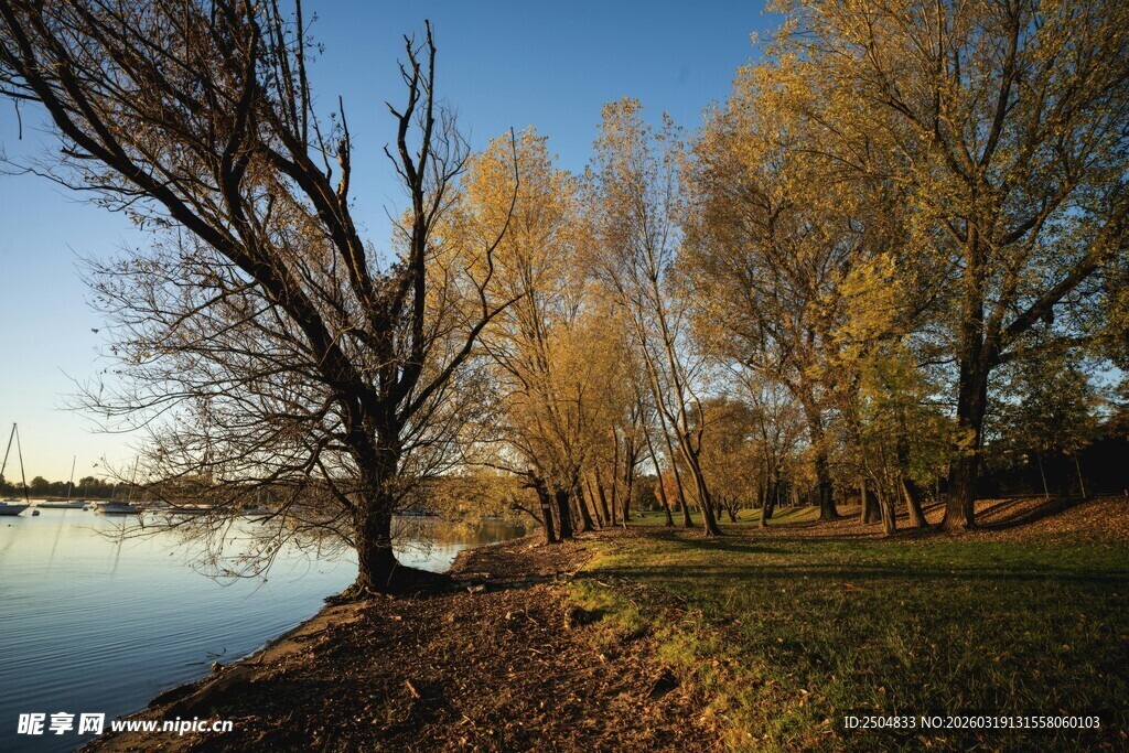 湖畔秋景 树木与蓝天碧水