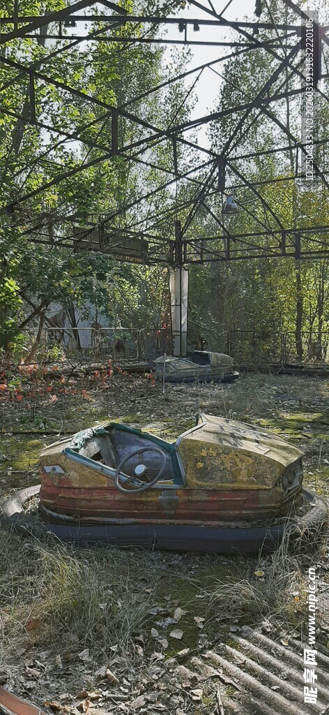 林间停放的复古小船