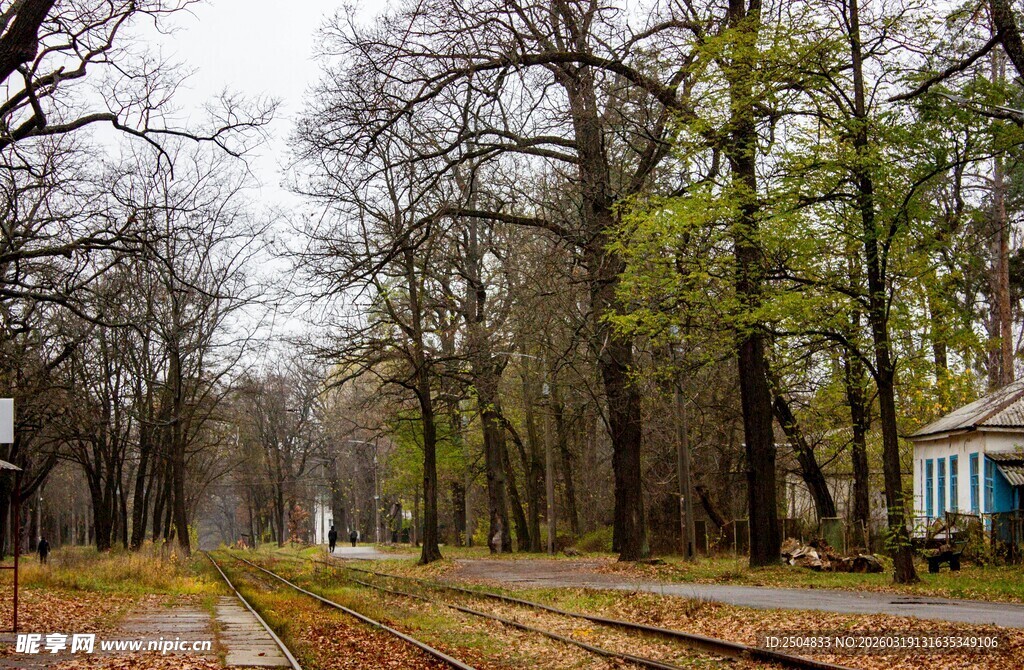 林间铁轨旁的静谧景致