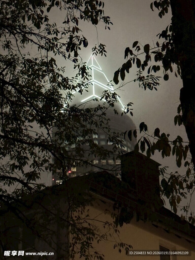 雨夜中朦胧的建筑与枝叶