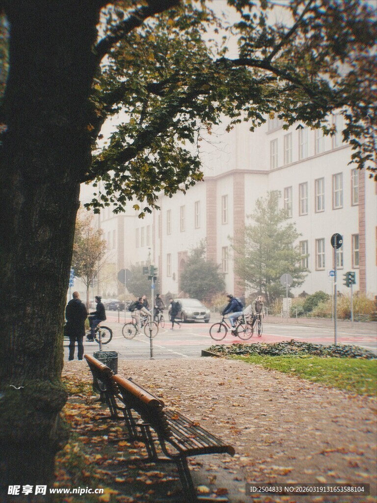 秋日公园静谧景象