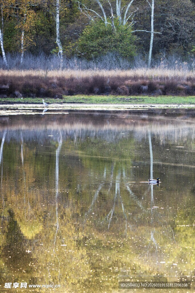 湖畔秋景倒影如画