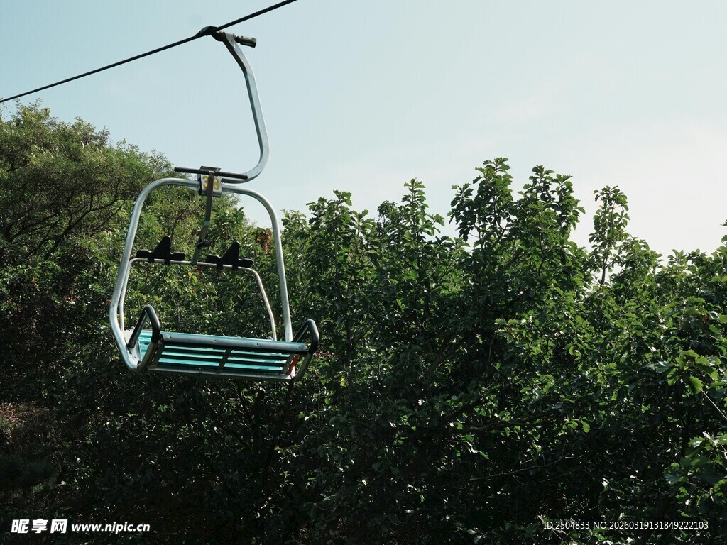 空中缆车穿行于绿树间