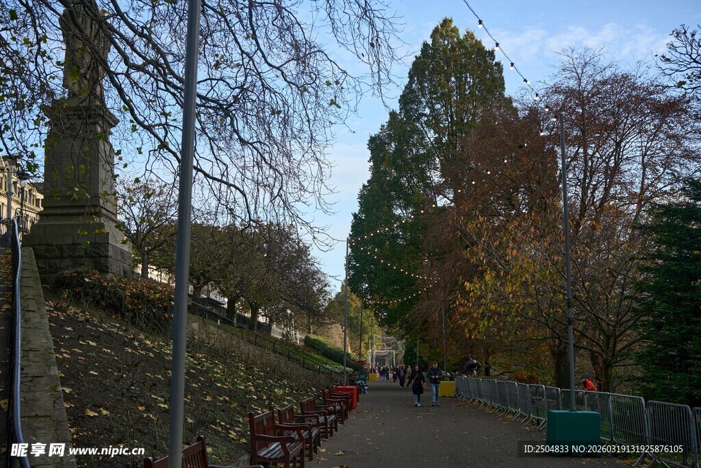 秋日林荫小道风景