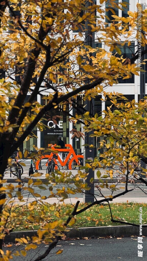 秋日公园的斑斓景致