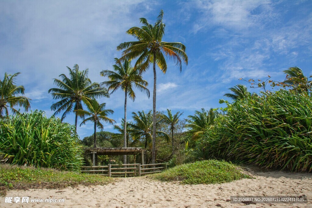 热带沙滩旁的棕榈树小屋