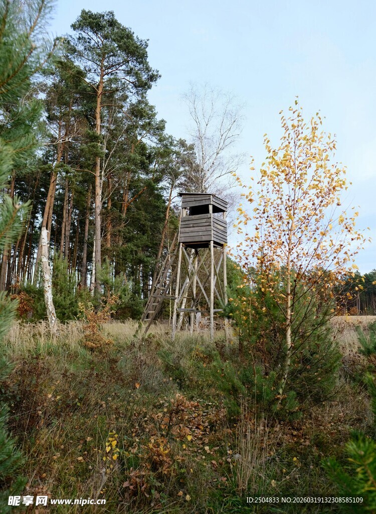 森林中的瞭望塔