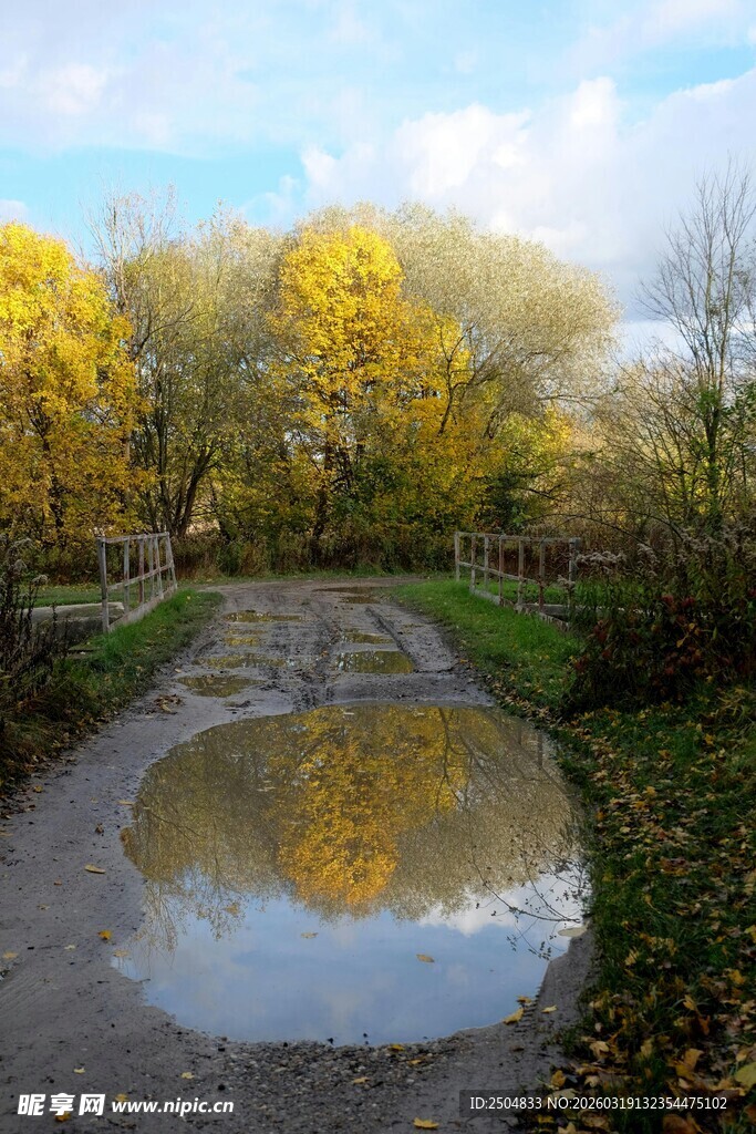 秋日小径旁的积水倒影美景