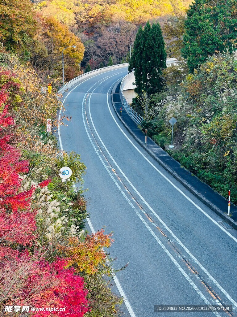 秋日蜿蜒公路赏绚烂景致